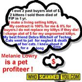 Scam - Melanie Lowry AKA Annie Westlake of Catinallity Cattery
